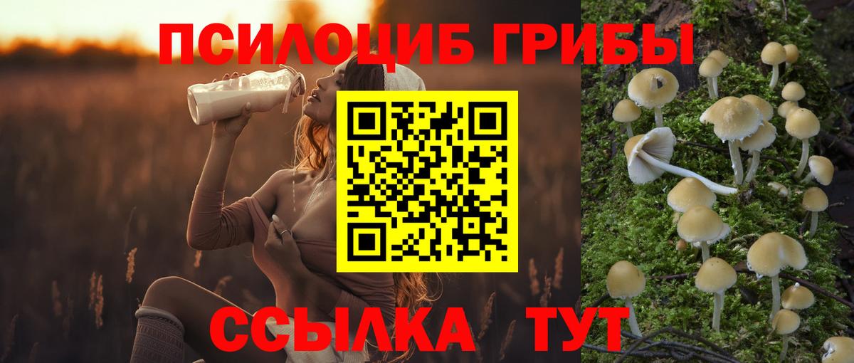 Галлюциногенные грибы GOLDEN TEACHER  Вход с VPN  Алапаевск  Галлюциногенные грибы мицелий 